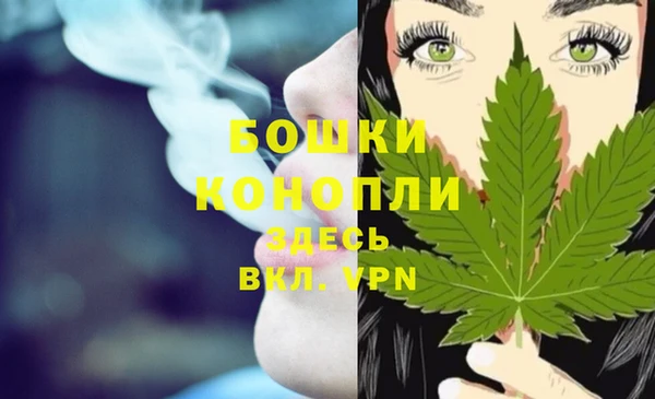 бошки Щигры