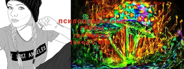 крисы Елабуга